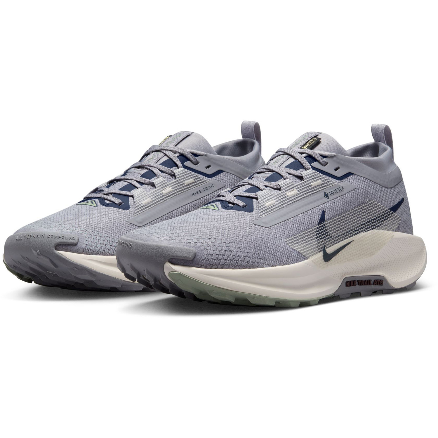 Nike Pegasus Trail 5 GTX Heren