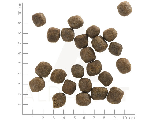 WOLFSBLUT Cold River Adult droogvoer voor honden, forel en zalm met zoete aardappelen en waardevolle superfoods, graanvrij, glutenvrij, 2 kg