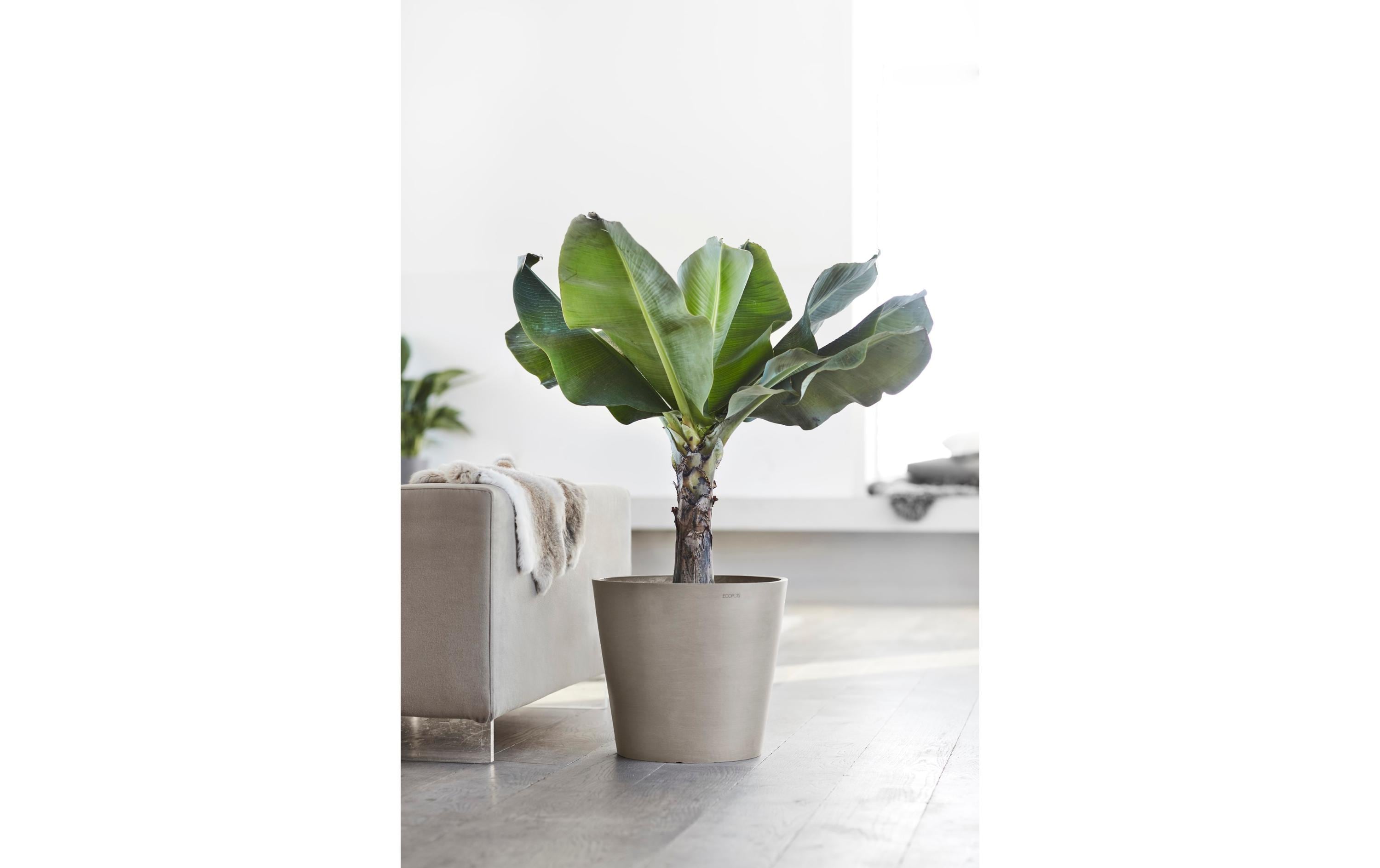 Pflanzentopf Amsterdam 40, French TaupeRobuster und langlebiger Blumentopf