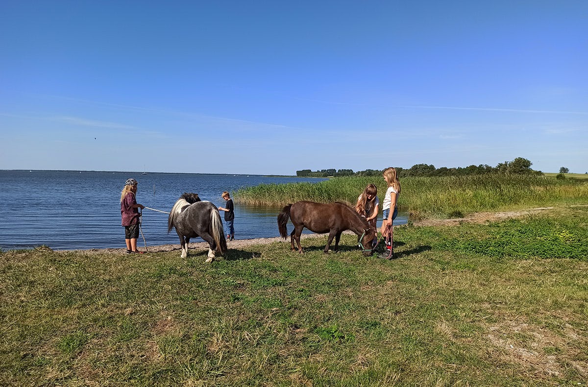 Pony Spaziergang für 2 Kuhlen-Wendorf