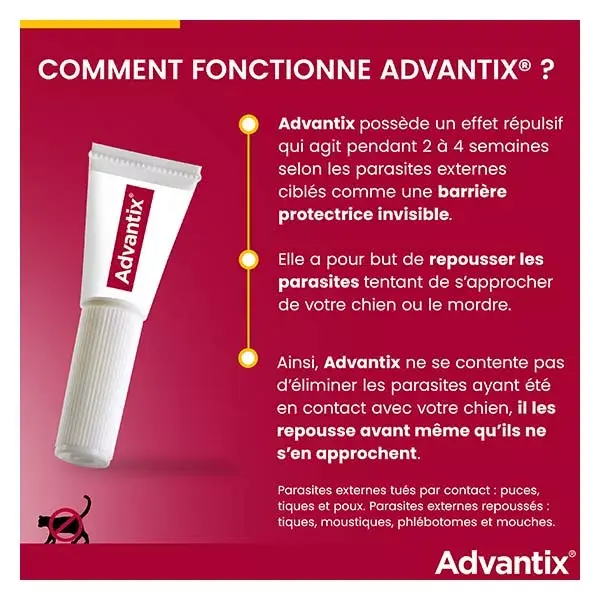 Solução Advantix para controle de pulgas e parasitas em cães de grande porte (40-60 kg) - 6 pipetas