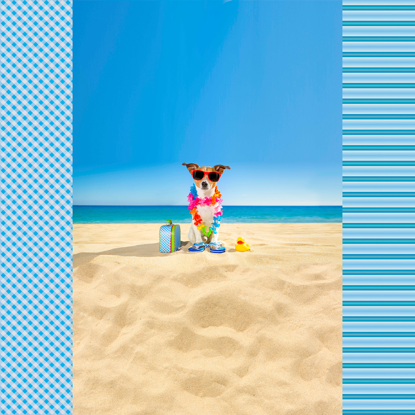 Jersey-Stoff - blau-weiß - Hund - Meterware