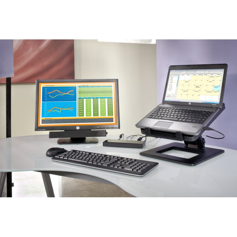 HP Câble USB-C vers USB-C 100 W (station d’accueil/de charge écran Z)