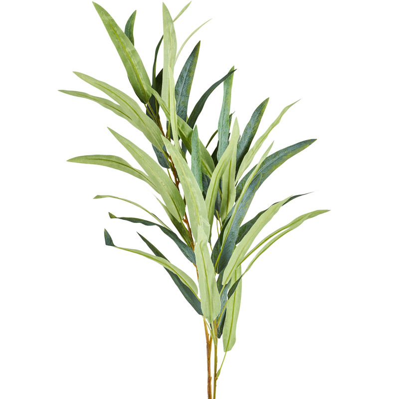 Bamboe tak - 83 cm