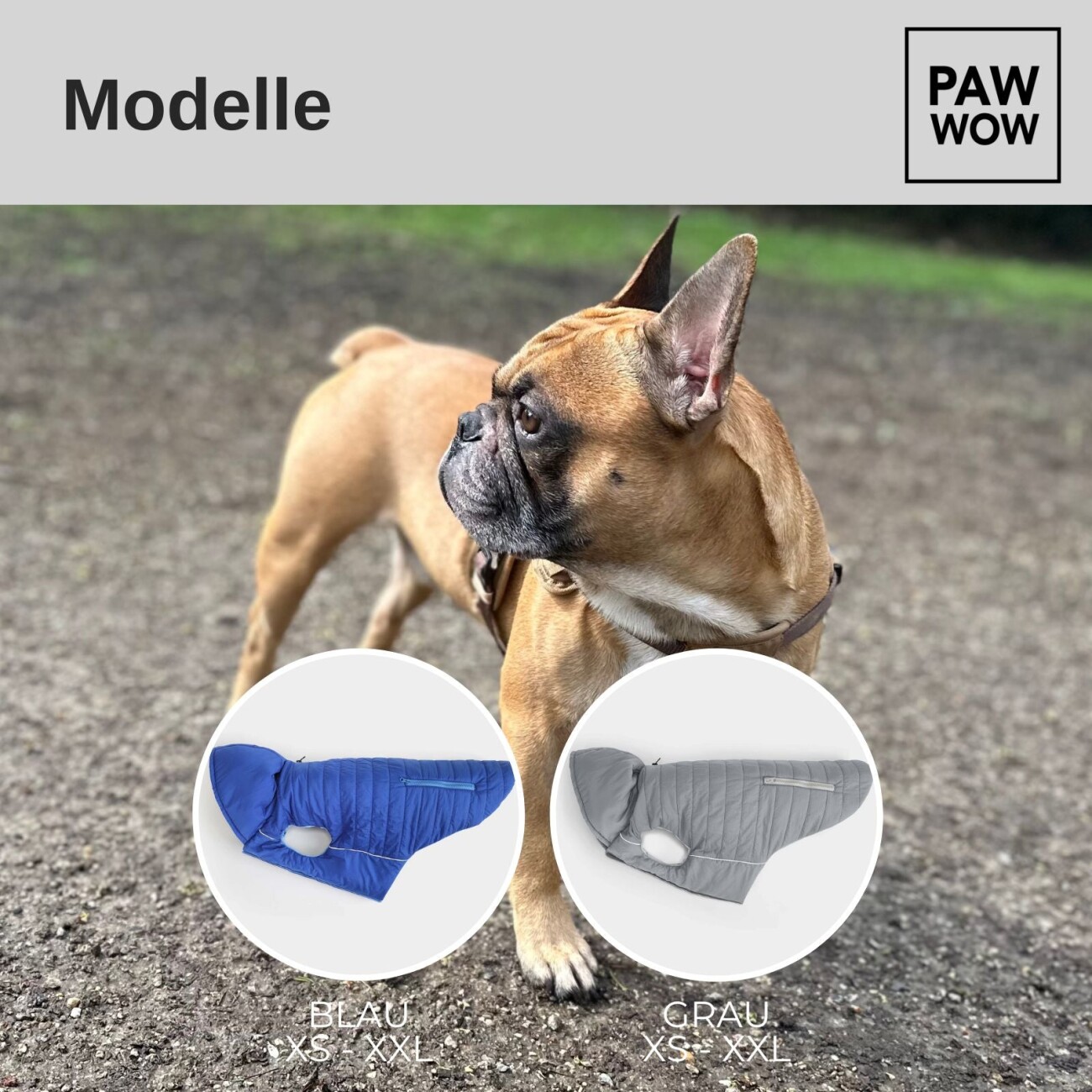 PAW WOW Hundejacke IMMI Grau S