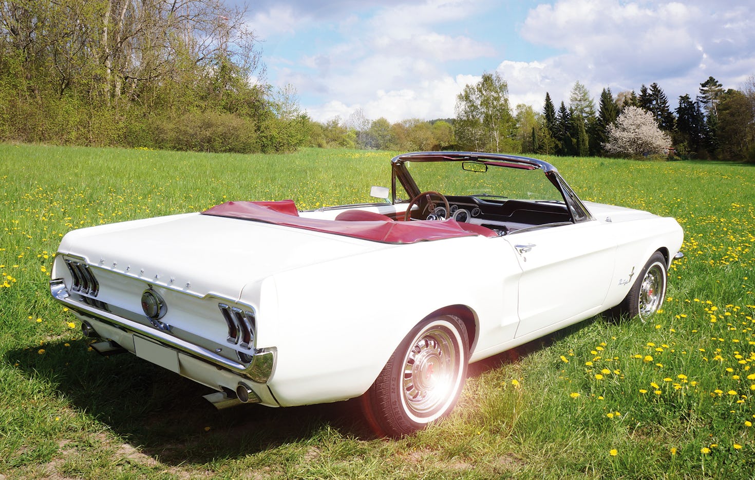 Mustang fahren Jena