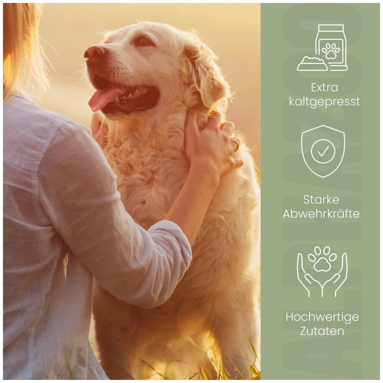 ALPHAZOO Premium Nachtkerzenöl für Hunde 250 ml