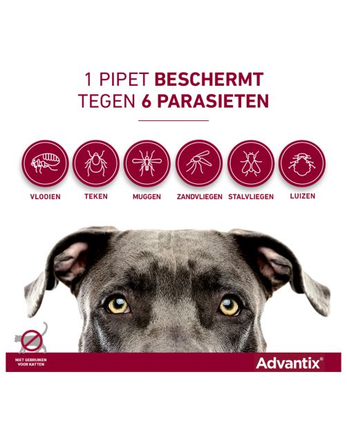 Advantix Spot On 100 1 ml - Anti vlooien en tekenmiddel