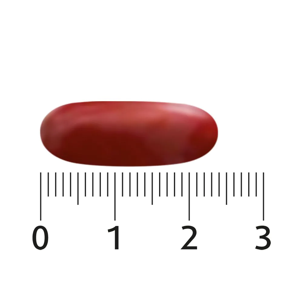 LeToxer 60 capsules