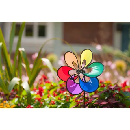 Paradise Flower Rainbow