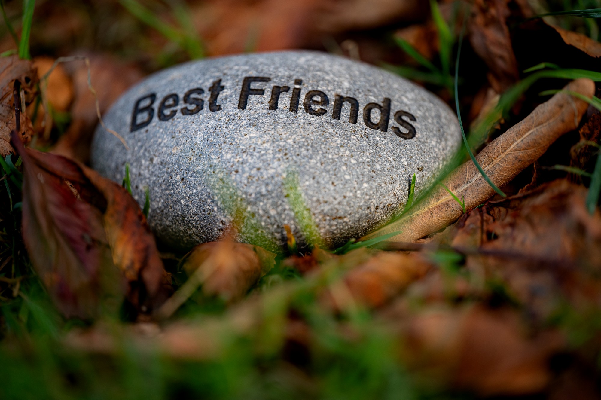 Flusskiesel 'Best Friends', B 10-11 cm, H 3 cm von fischer's lagerhaus