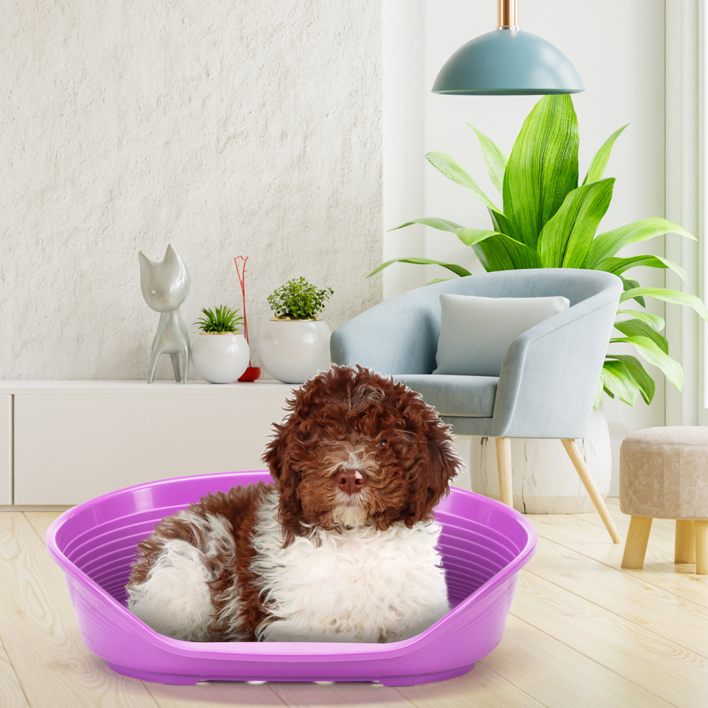 Ferplast - panier chien - lit pour chien en plastique medium - 100% plastique recyclé - lit pou chat lavable - respirant