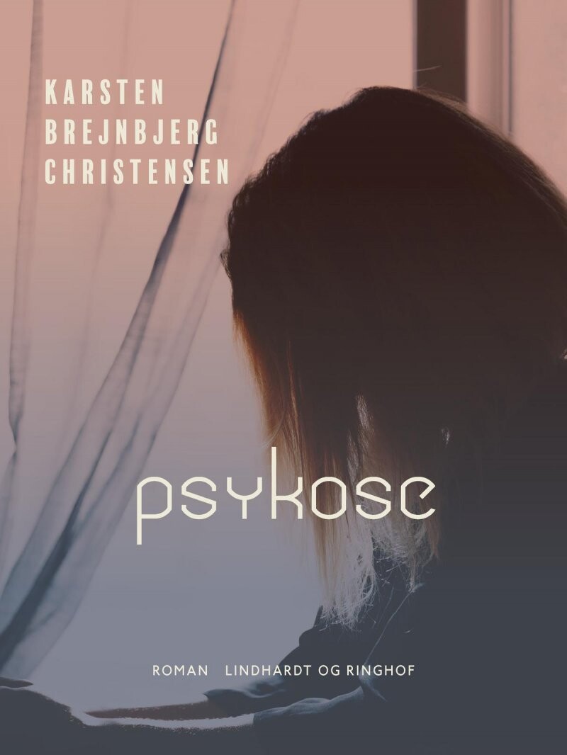 Psykose - Karsten Brejnbjerg Christensen - Bog