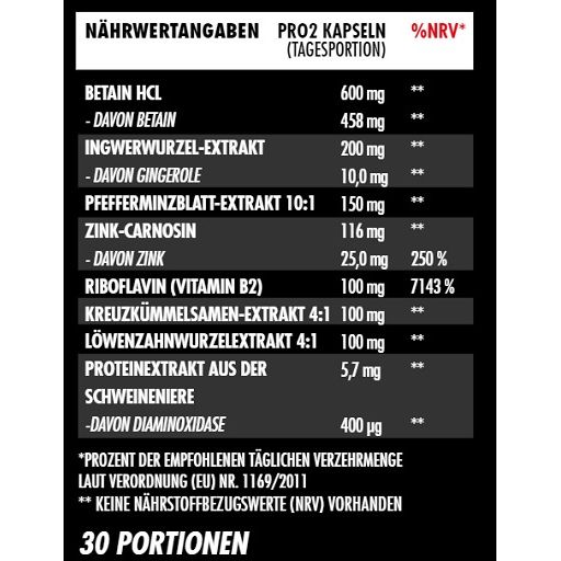 Big Zone Gut+