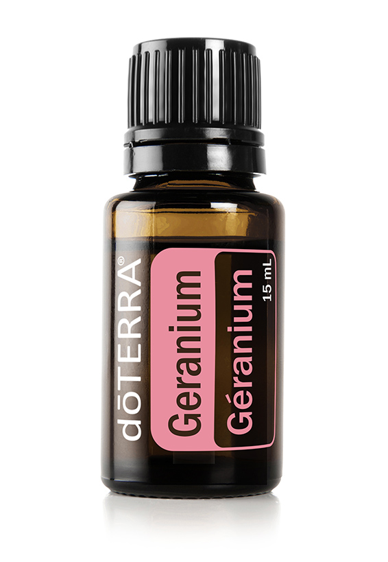 Huile de géranium  Pelargonium graveolens