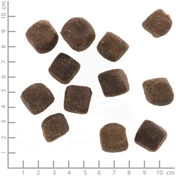 Hundesnack Squashies Dark Forest