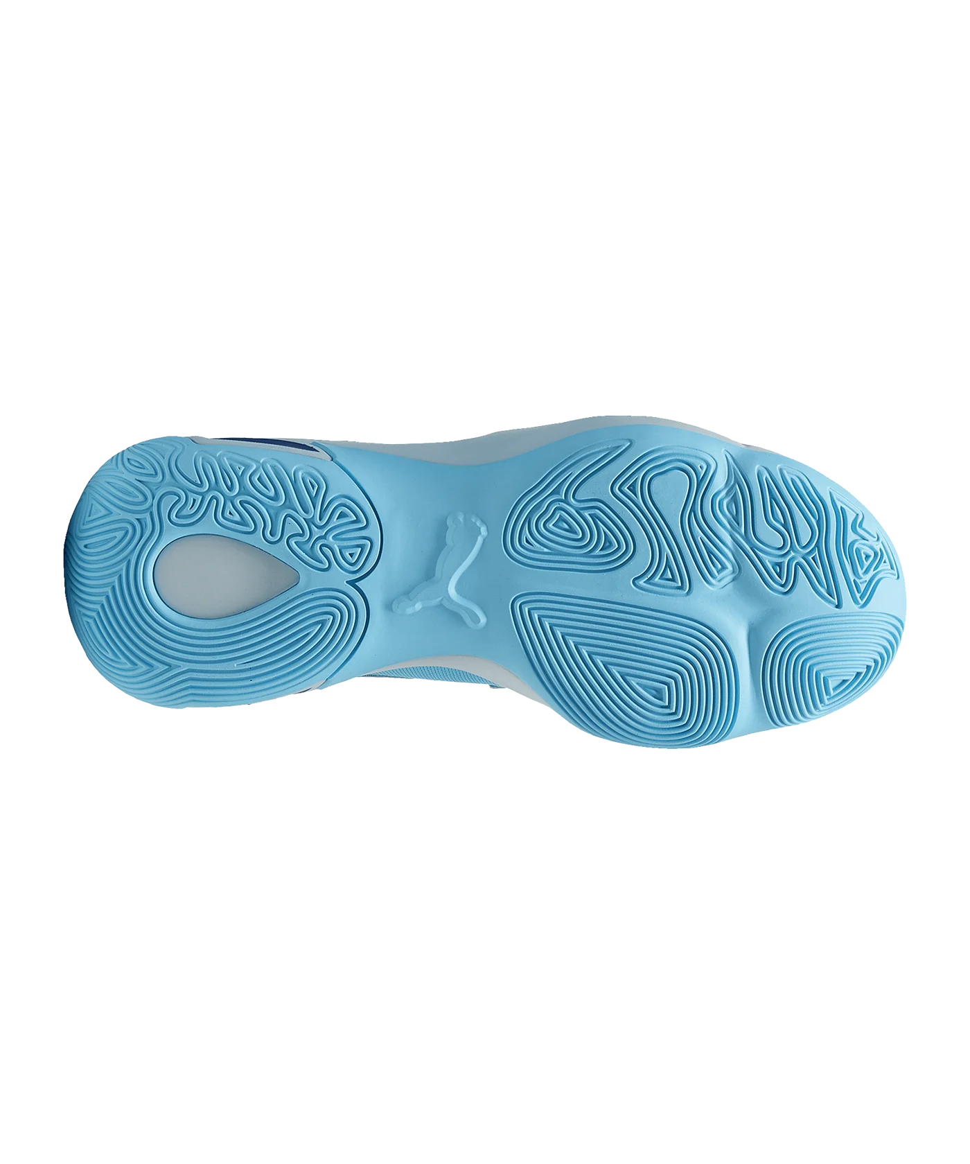 PUMA Genetics Schuh Blau F04