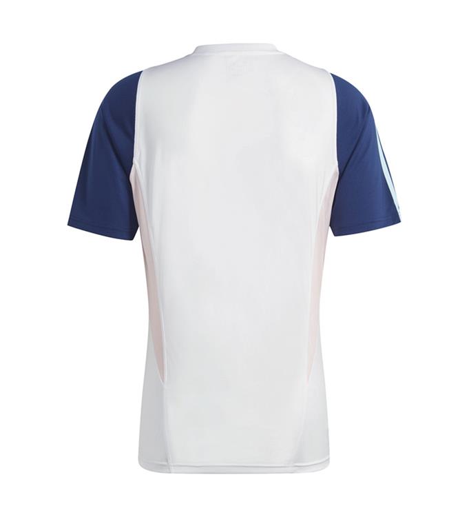 adidas Men Ajax Amsterdam Tiro 23 Trainings Jersey 2023/2024