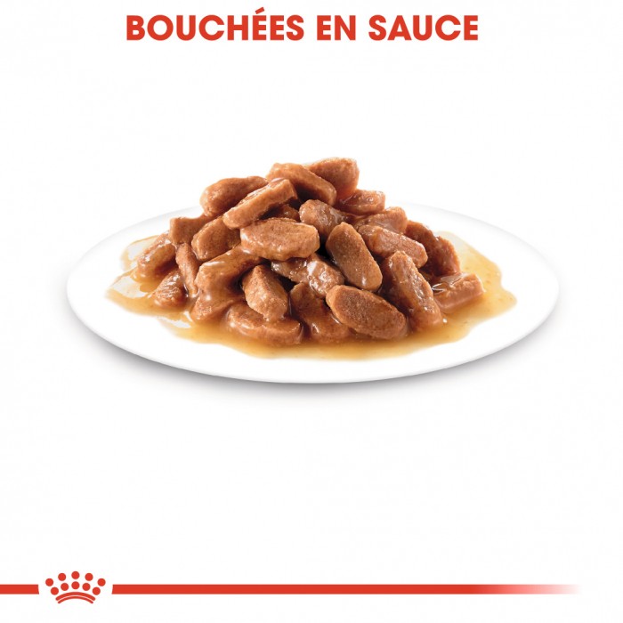 Royal Canin Kitten - Sauce pour chaton