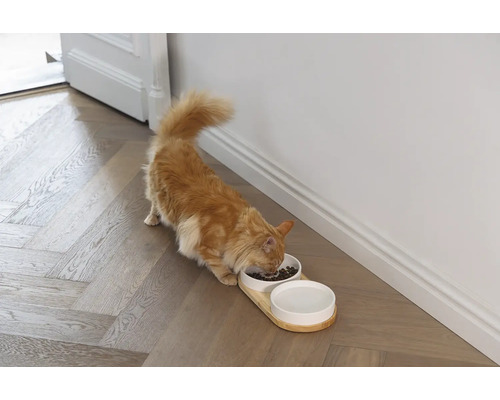 Dubbele kom ontworpen door Lotte, kattenservies, houten komstandaard ca. 34 x 17 x 5 cm met 2 keramische kommen, vaatwasserbestendig ca. 16 x 16 x 3,5 cm, elk 350 ml