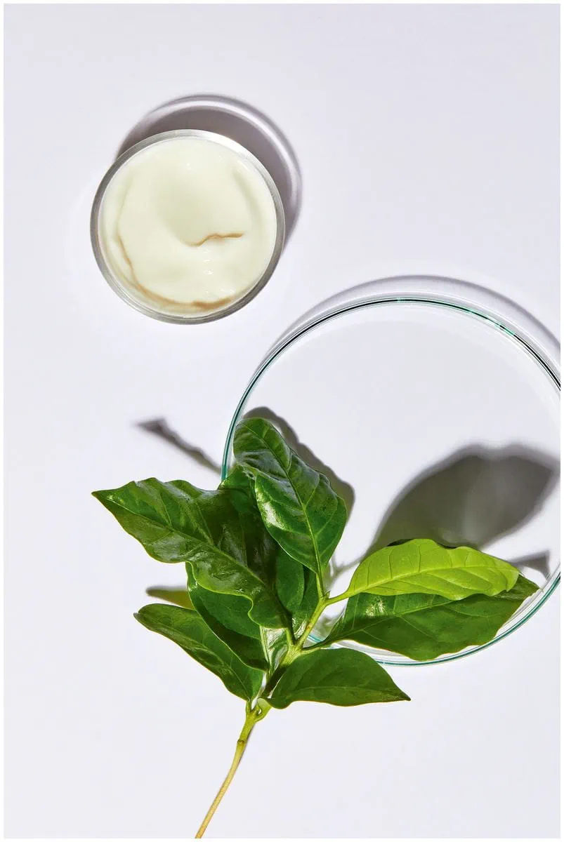 LAIT DÉMAQUILLANT VISAGE THÉ VERT BIO NATURALLY GOOD