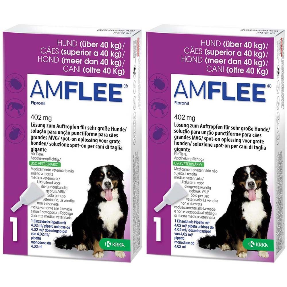 Amflee® 402 mg Lösung zum Auftropfen für Hunde