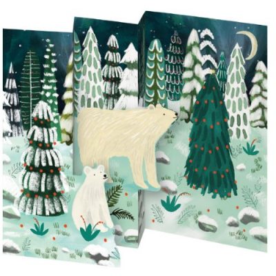 Northern Lights Tri Fold Box x5
