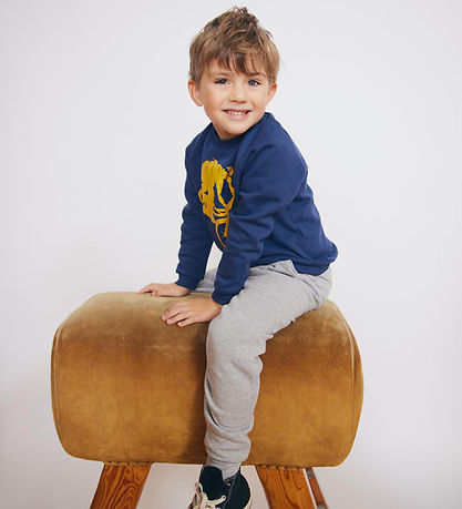 Freds WoRød Sweatshirt - BMX - Academy