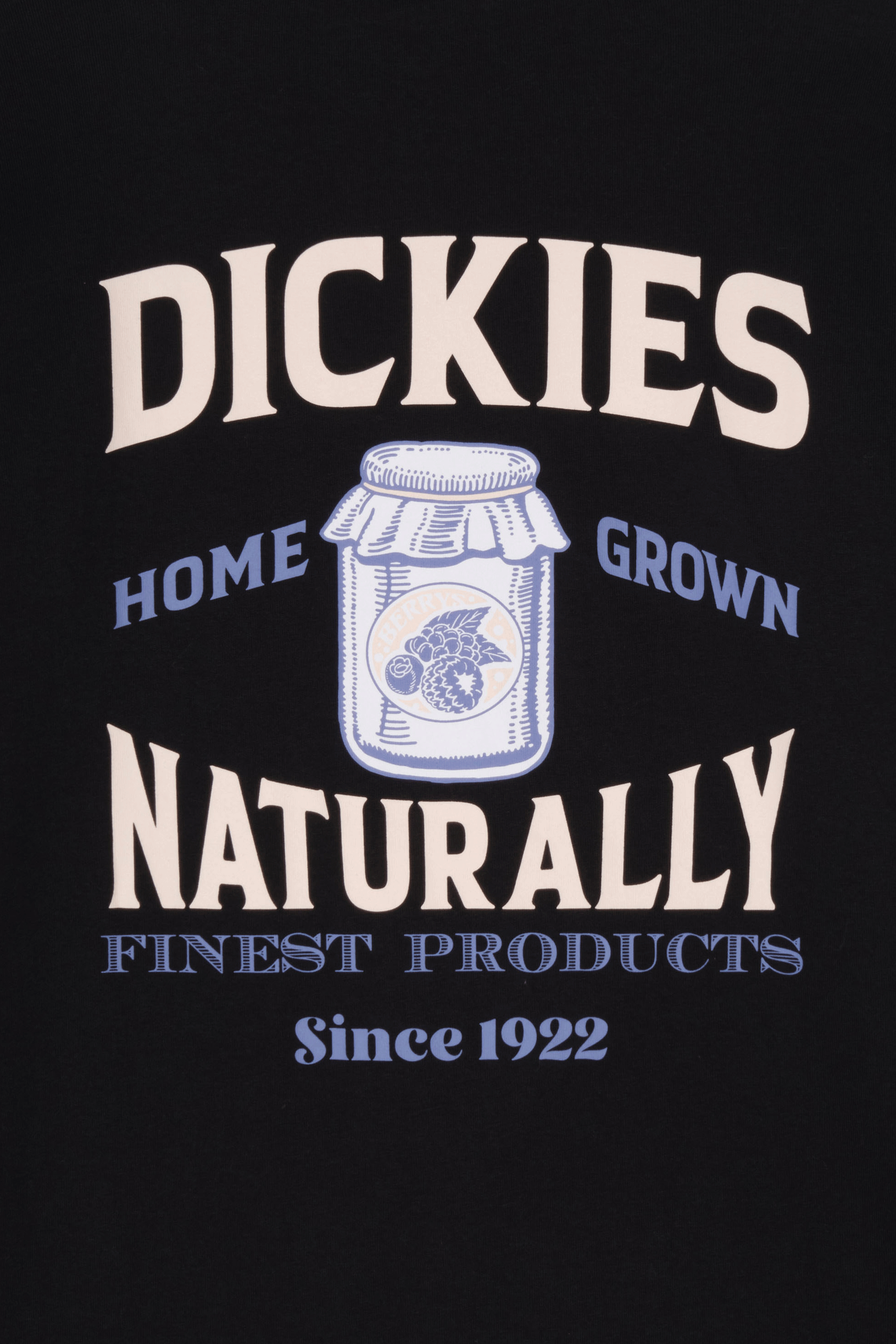 DICKIES T-shirt ELLISTON TEE SS Noir