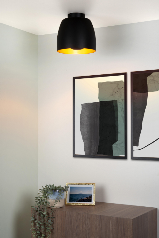Lucide Nolan plafondlamp Ø24 zwart
