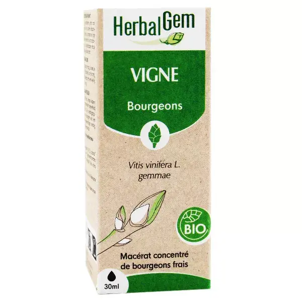Concentrado de Videira Orgânica Herbalgem - Maceração 30ml
