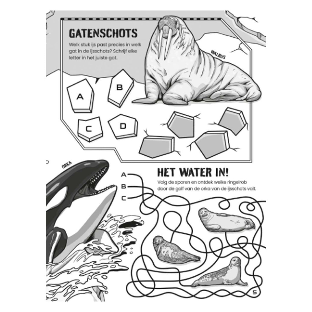 uitgeverij usborne puzzelboek gevaarlijke dieren