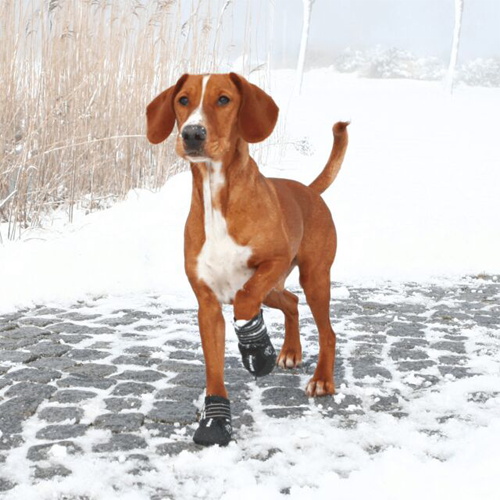 Trixie Walker Active Hondenschoen