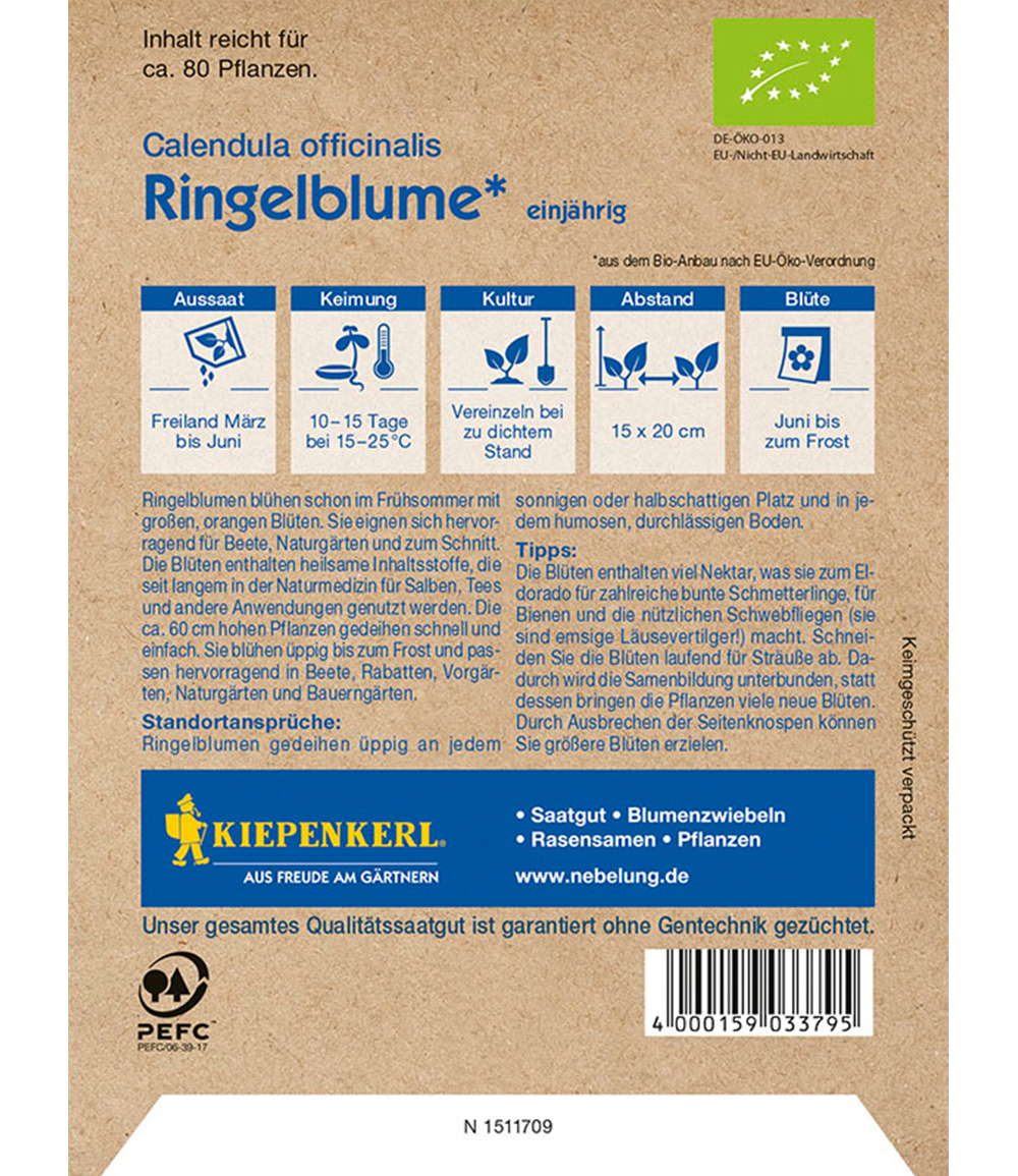 BIO-Ringelblume 'Oranja'