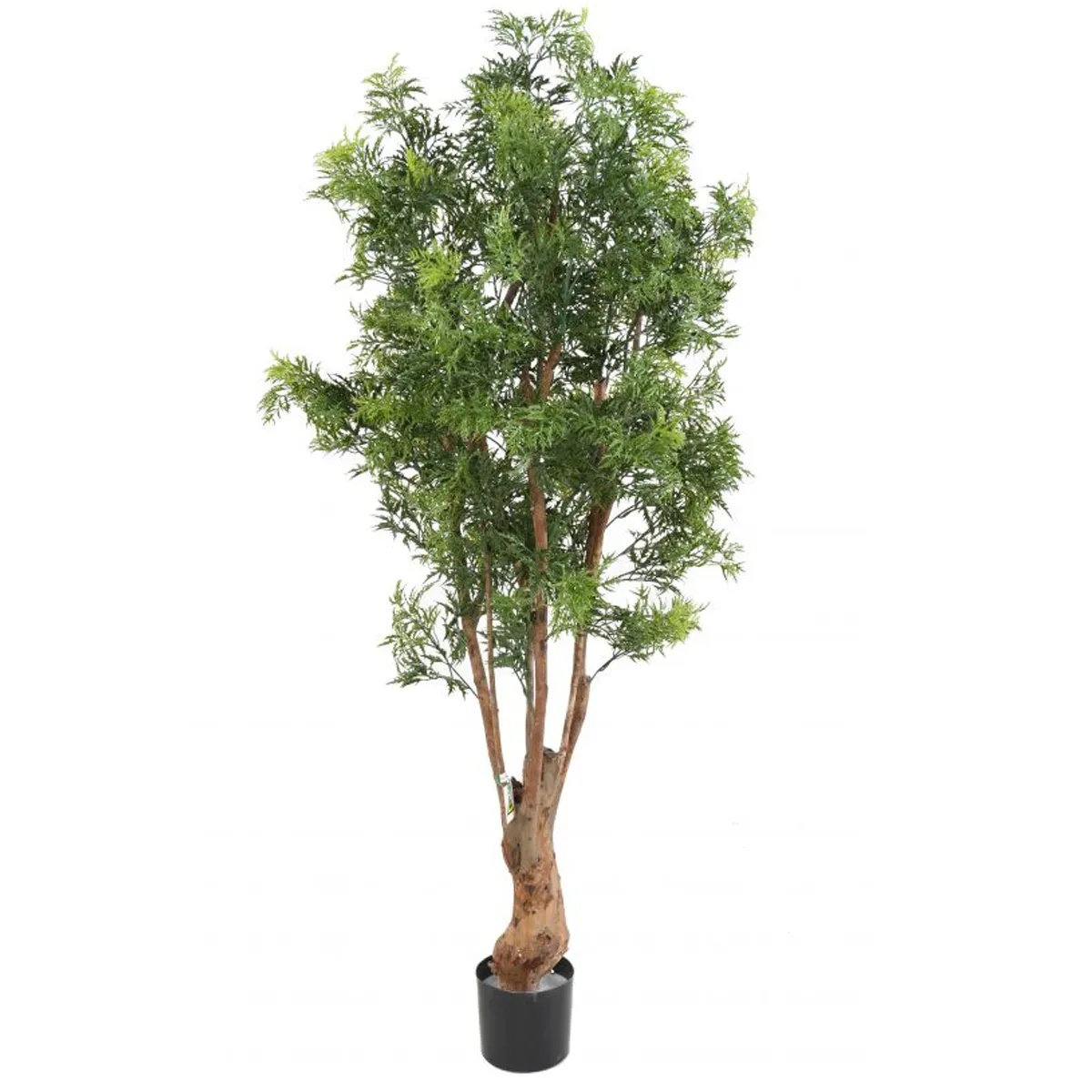 Pegane Aralia artificiel - H.165 cm - Vert