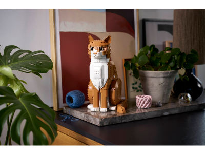 LEGO Oranje kat (21376)
