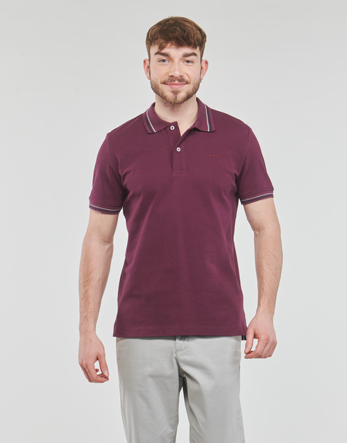 Geox - M POLO PIQUET - Bordeaux