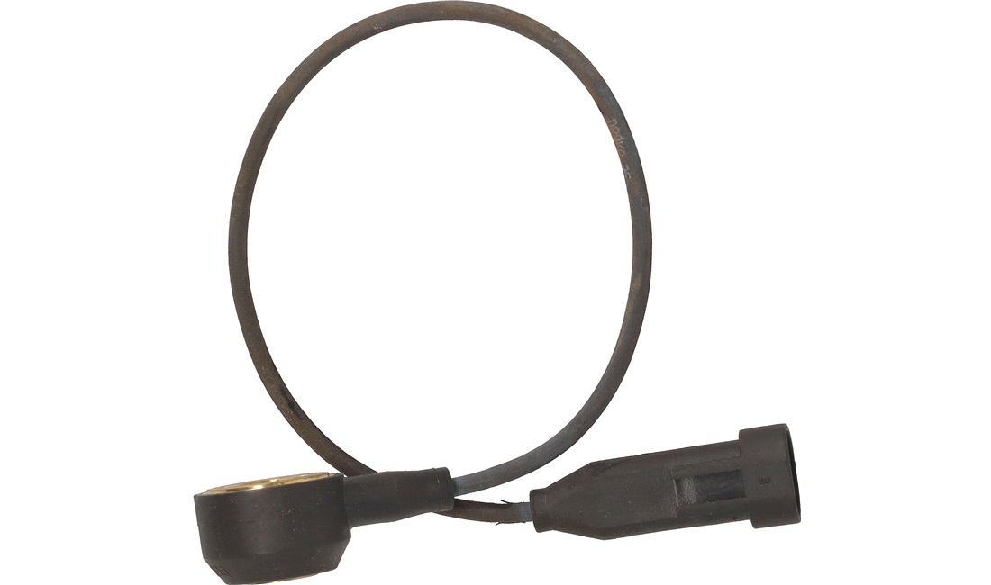 Bankesensor