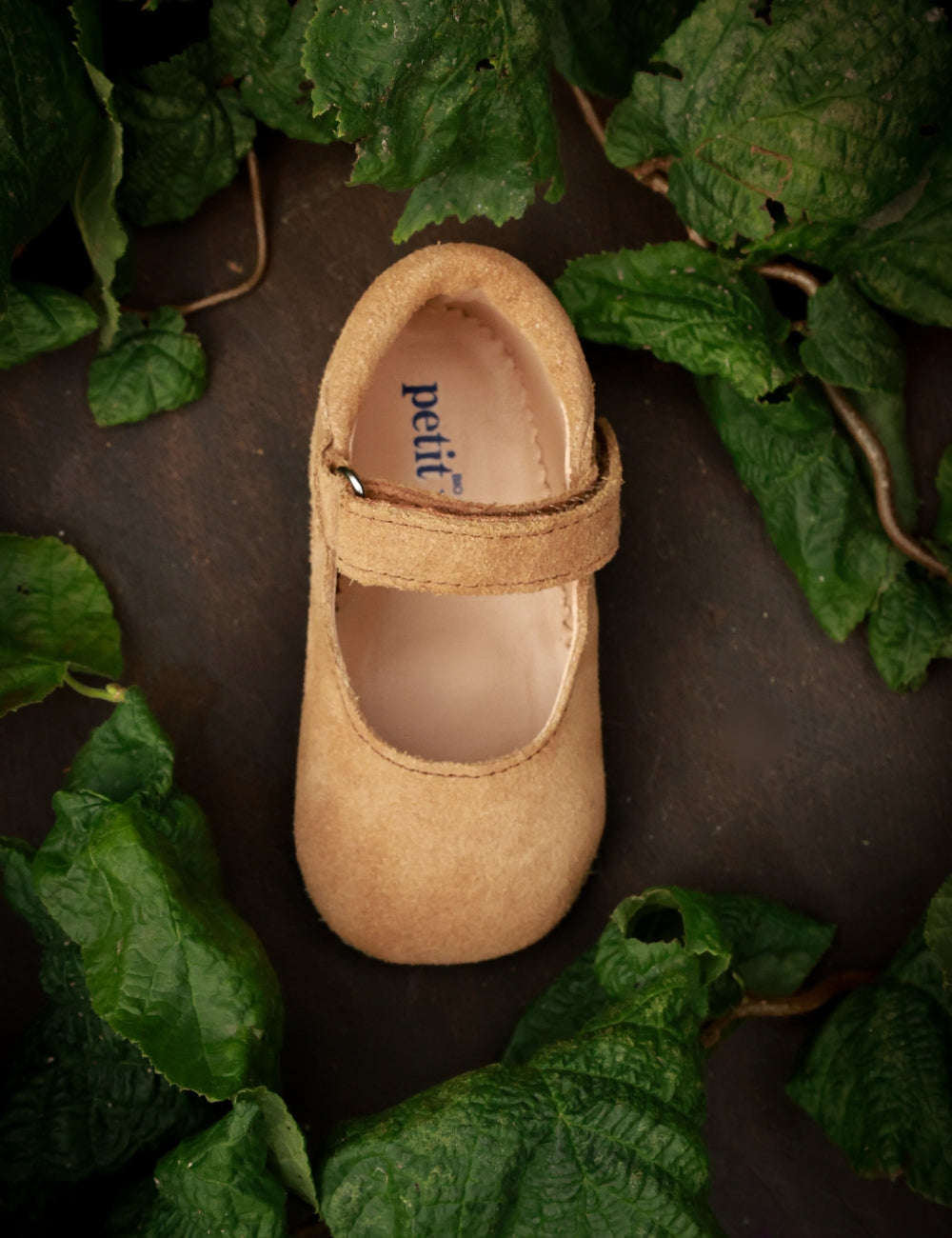 Ballerina Shoe with Velcro - Sahara Suede