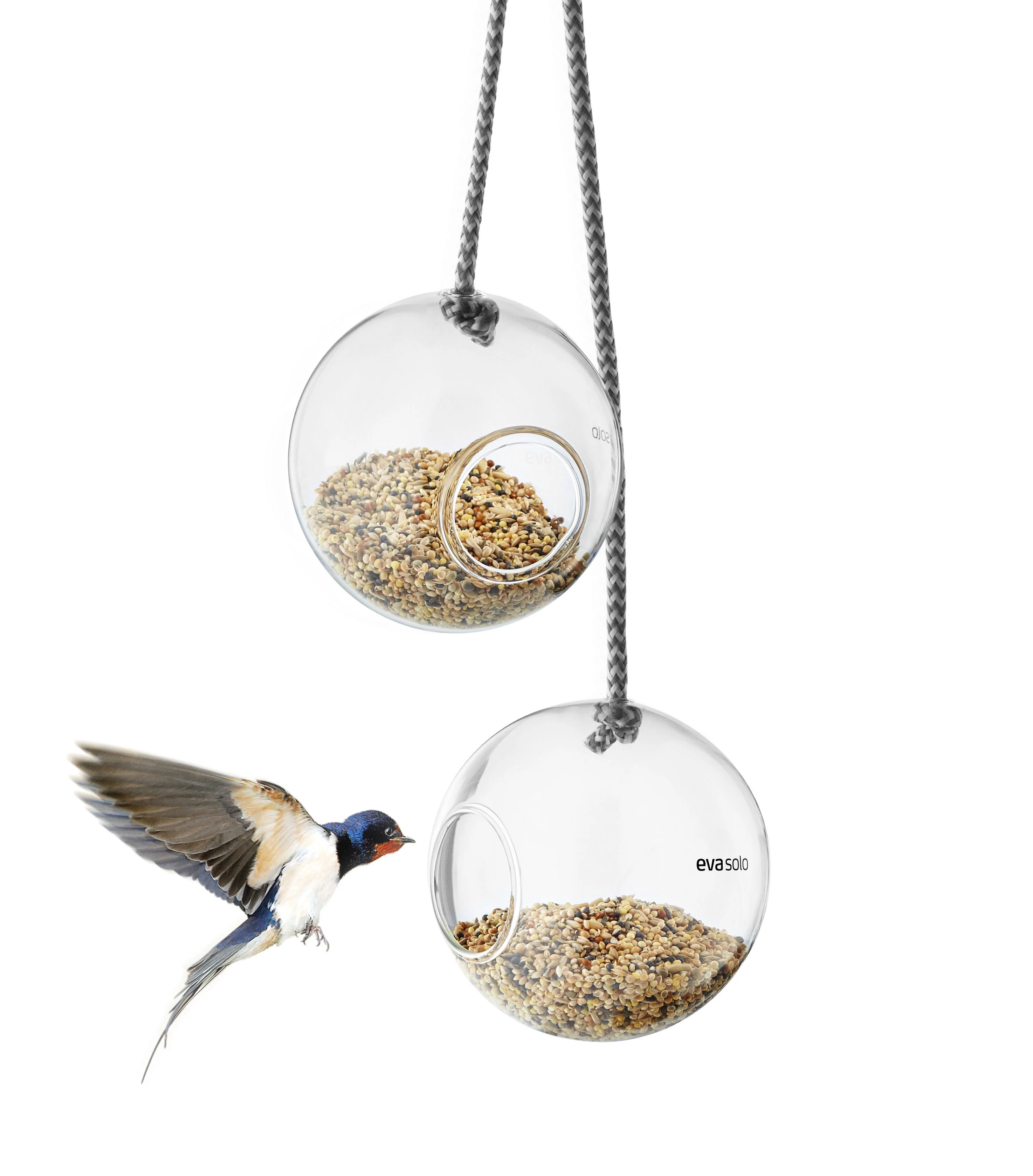 Mangeoire à oiseaux verre | Transparent
