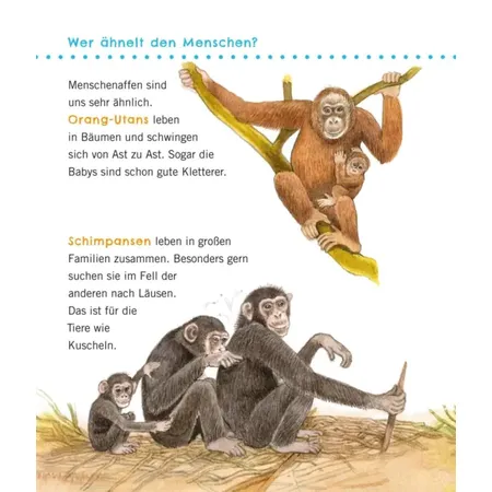 Carlsen Verlag Unkaputtbar: Erstes Wissen: Große Tiere