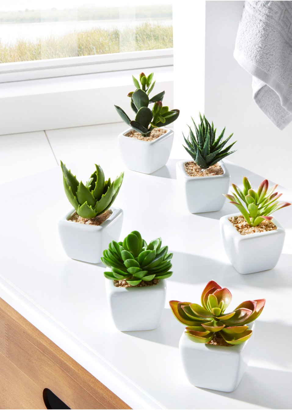 Mini-succulentes artificielles (Ens. 6 pces.)