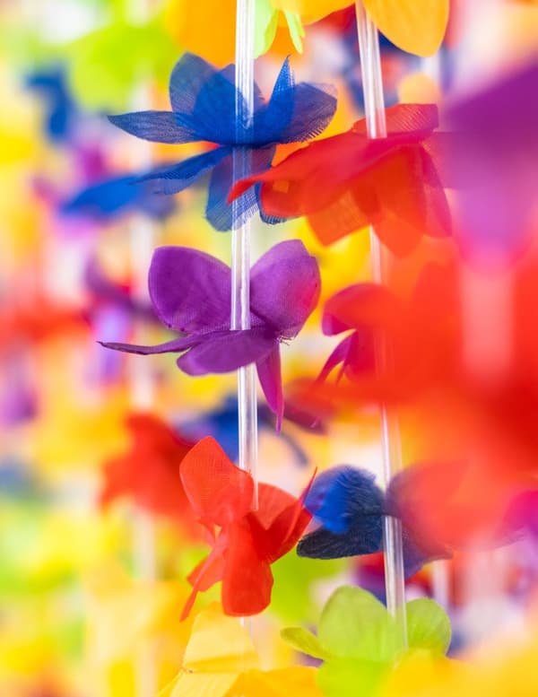 Hawaii-girlander med fargerike blomster. Size-Standard