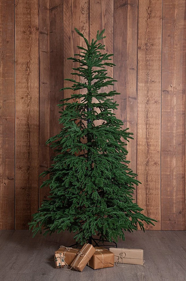 EDANE juletre naturtro utendørs høyde 210 cm