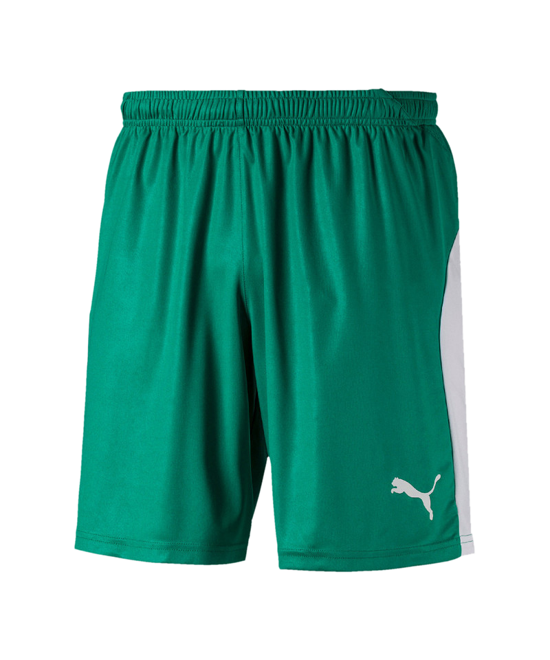 PUMA LIGA Short Grün Weiss F05