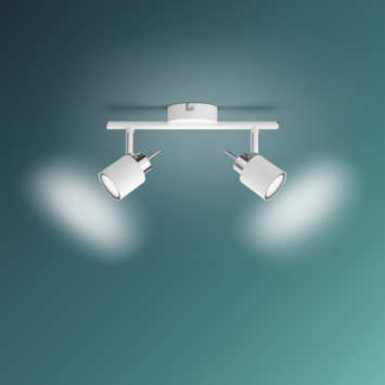 Philips Meranti opbouwspot wit 2x 35W