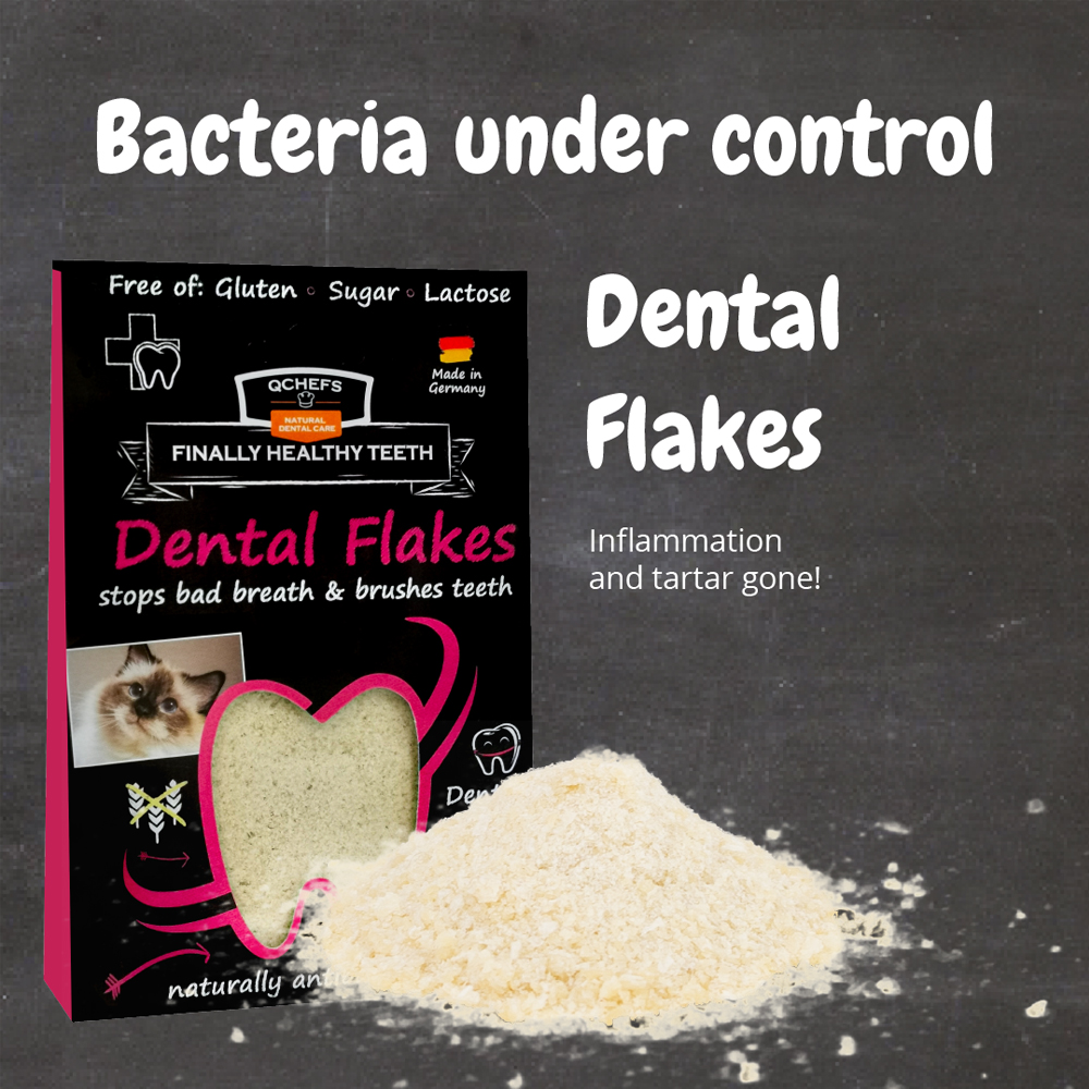 Qchefs Dental Flakes - Katten
