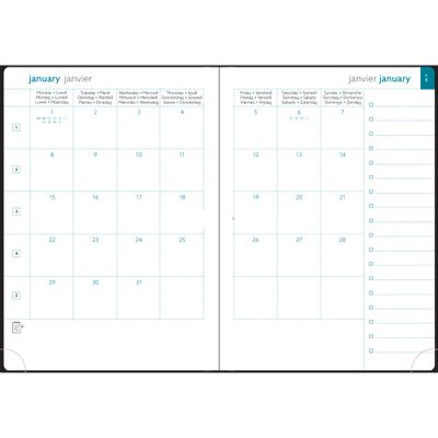Agenda de bureau EasySlim 21 Carte - 1 mois sur 2 pages - 15 x 21 cm - Terracotta - Exacompta