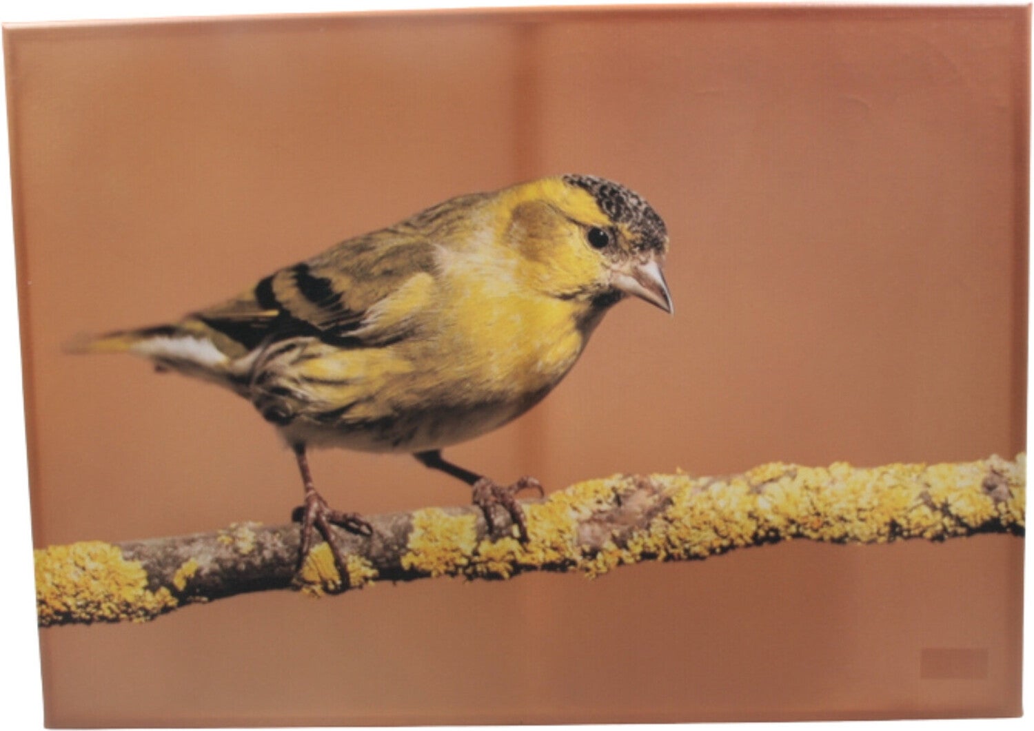 Farmwood Animals tuinschilderij distelvink multi 40 x 0,5 x 30 cm