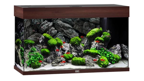 JUWEL® AQUARIUM Rio 125 LED